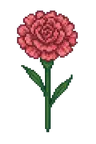 قرنفل