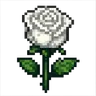 وردة