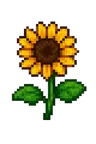 🌻